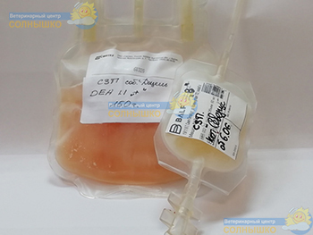 paket czp 350