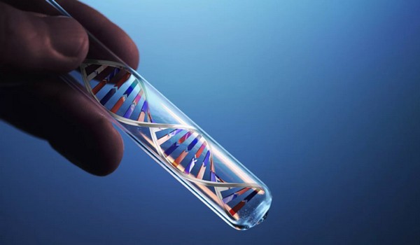 Genetic tests for dogs and cats 3